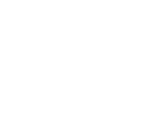 WiseWage-Tech
